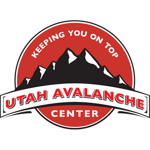 Backcountry Institute - Utah Motorized Avalanche Education Riding Clinics Companion rescue Survival skills Utah avalanche class, Utah Moto Avy1