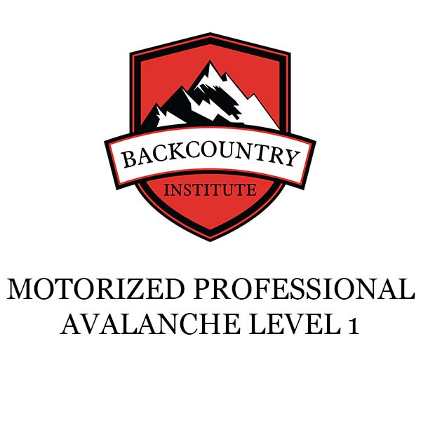 Motorized Professional Avalanche level 1